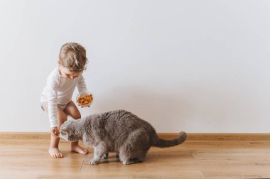 tanımlama bilgileri ve gri kedi evde beyaz gömlek küçük yürümeye başlayan çocuk