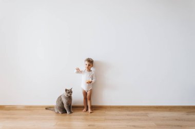 tanımlama bilgileri ve gri kedi evde beyaz gömlek küçük yürümeye başlayan çocuk