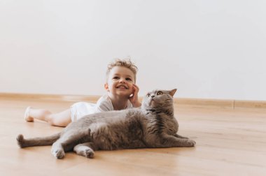 smiling toddler boy and grey british shorthair cat lying on floor together at home clipart