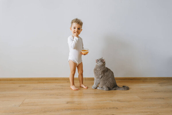 little toddler boy in white bodysuit with cookies and grey cat at home