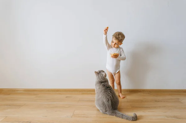 Little Toddler Boy White Bodysuit Cookies Grey Cat Home — Stock Photo, Image