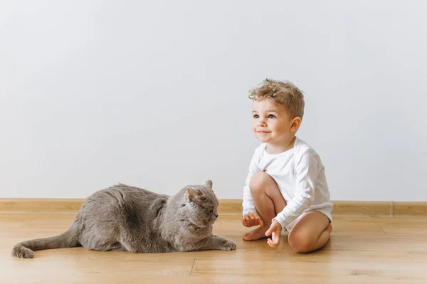 Bonito Pequena Criança Branco Bodysuit Cinza Britânico Shorthair Gato Descansando — Fotografia de Stock