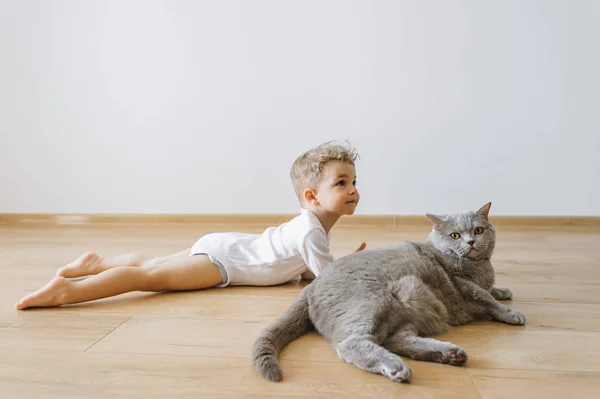 Bonito Criança Menino Cinza Britânico Shorthair Gato Deitado Chão Juntos — Fotografia de Stock