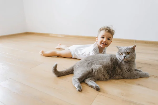 欢快的蹒跚学步的男孩和灰色的英国短毛猫猫躺在地板上一起在家 — 图库照片