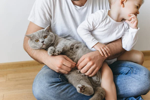 Adamın biraz gülümseyen oğlu ve gri kedi evde sarılma kısmi görünümü