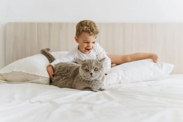 快乐的小孩子玩灰色英国短毛猫在床上在家 — 图库照片