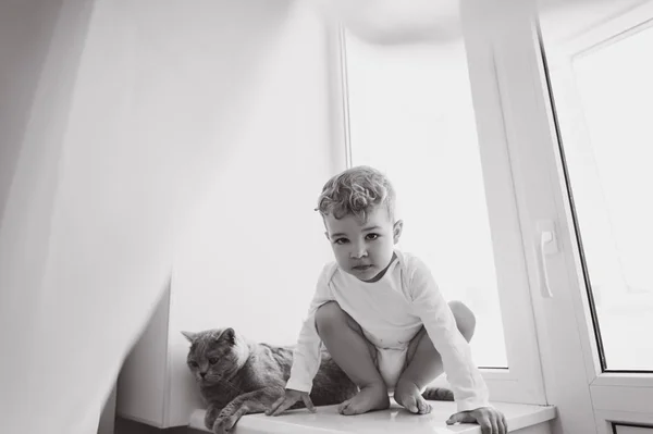 Photo Noir Blanc Mignon Petit Enfant Avec Chat Britannique Gris — Photo gratuite