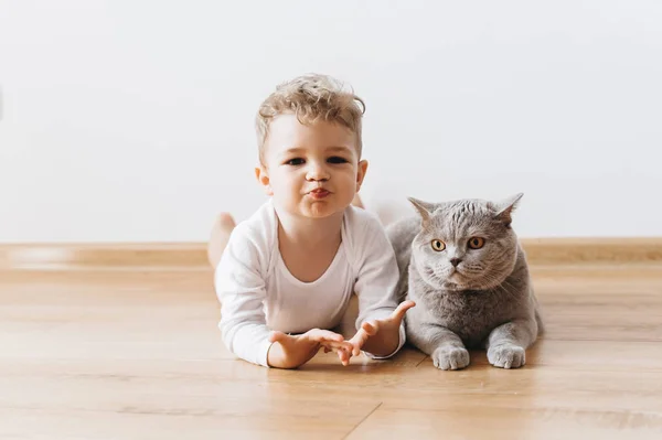 家では一緒に床に横たわっている愛らしい幼児少年とグレー ブリティッシュショートヘアの猫 — ストック写真