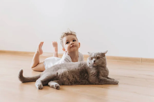 Adorável Criança Menino Cinza Britânico Shorthair Gato Deitado Chão Juntos — Fotografia de Stock