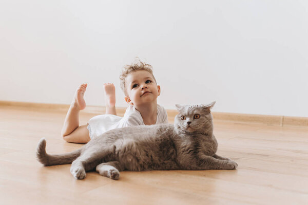 adorable toddler boy and grey british shorthair cat lying on floor together at home