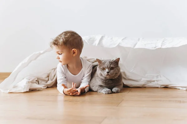 Entzückender Kleinkind Junge Und Graue Britische Kurzhaarkatze Liegen Hause Zusammen — Stockfoto