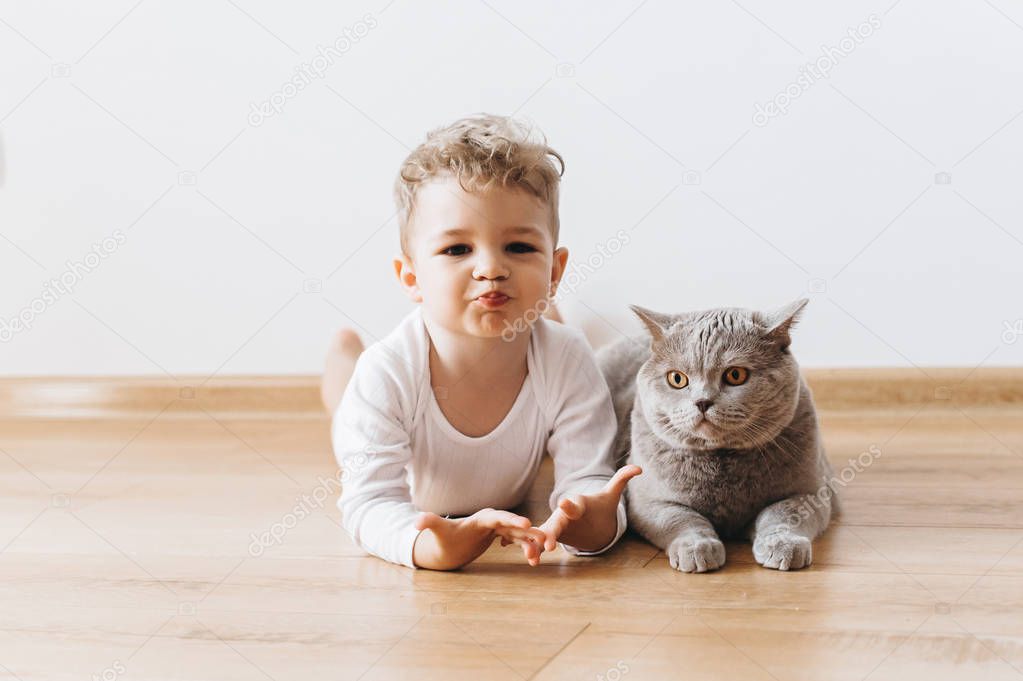 adorable toddler boy and grey british shorthair cat lying on floor together at home