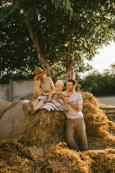 Countryside — Stock Photo, Image