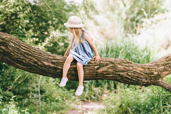 Copil Rochie Albastră Pălărie Paie Stând Copac Timpul Verii — Fotografie, imagine de stoc