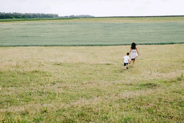 Veld — Stockfoto