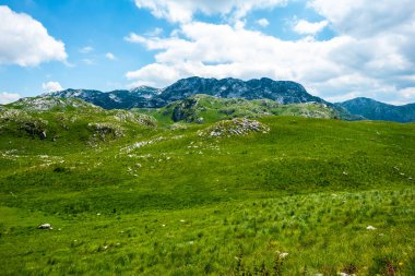 yeşil güzel vadi, dağlar ve mavi gökyüzünde Durmitor massif, Karadağ