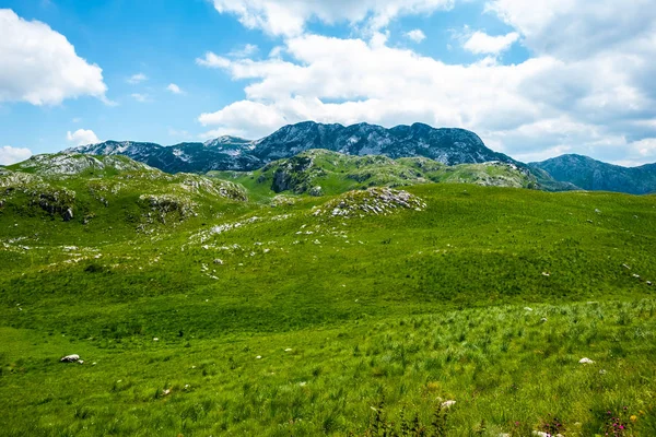 Valea Verde Frumoasă Munții Cerul Albastru Masivul Durmitor Muntenegru Imagini stoc fără drepturi de autor
