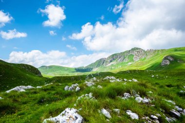 stones on grass in valley of Durmitor massif, Montenegro clipart