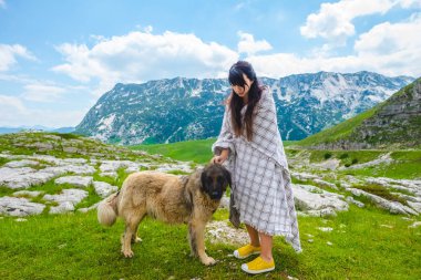 Durmitor massif, Karadağ vadide battaniye palming tüylü köpek güzel kadın