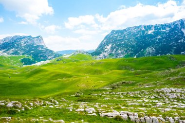 green valley with stones and mountains in Durmitor massif, Montenegro clipart