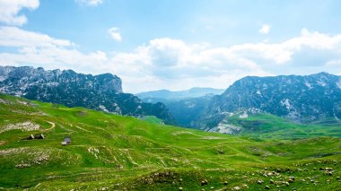yeşil vadi, dağ silsilesi Durmitor massif, Karadağ, ahşap evler