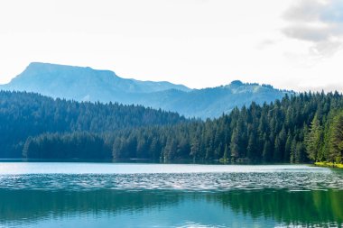 beautiful glacial Black Lake, forest and mountains in Montenegro clipart