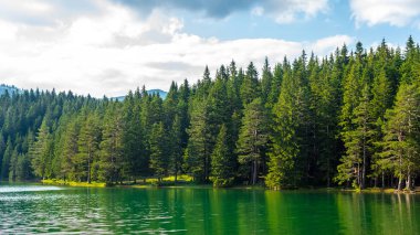 green forest and beautiful glacial Black Lake in Montenegro clipart
