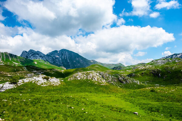 green valley, mountains and blue cloudy sky in Durmitor massif, Montenegro