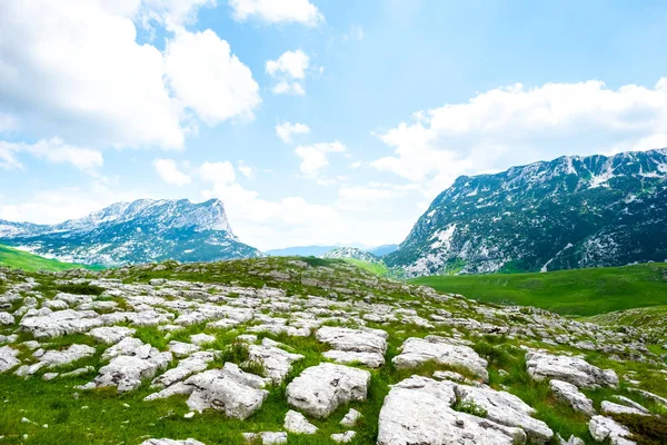 Grünes Tal Mit Steinen Durmitor Massiv Montenegro — Stockfoto