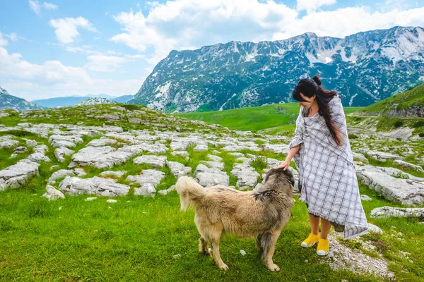 Attractive Woman Blanket Palming Fluffy Dog Valley Durmitor Massif Montenegro — Free Stock Photo