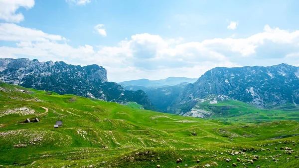 Wooden Houses Green Valley Mountain Range Durmitor Massif Montenegro — Stock Photo, Image