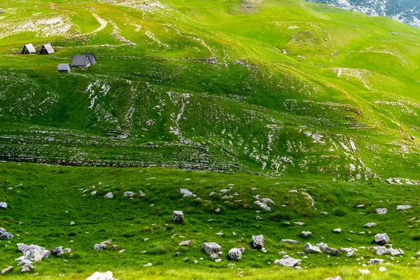 Holzhäuser Auf Wunderschönem Grünen Tal Durmitor Massiv Montenegro — kostenloses Stockfoto