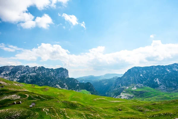 wooden houses on green valley in Durmitor massif, Montenegro