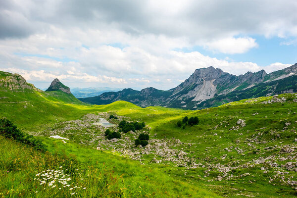 Hermoso Valle Verde Con Pequeñas Piedras Macizo Durmitor Montenegro — Foto de Stock