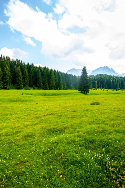 Durmitor Massif Karadağ Orman Mavi Gökyüzü Ile Güzel Yeşil Vadi — Stok fotoğraf