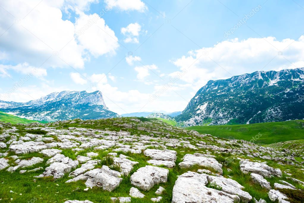 green valley with stones in Durmitor massif, Montenegro