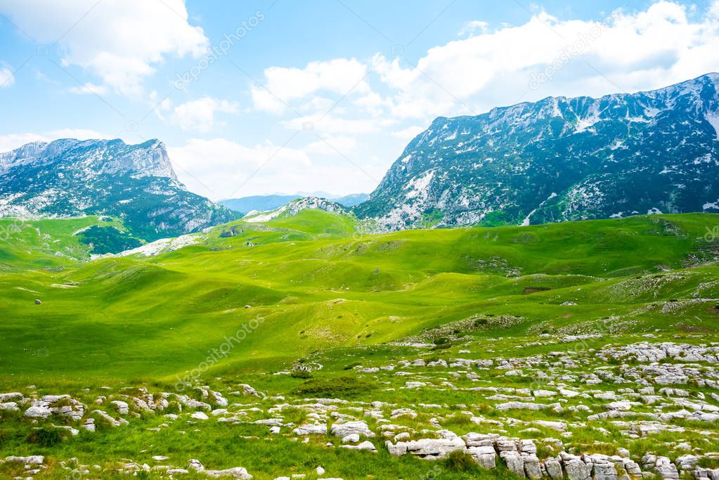 green valley with stones and mountains in Durmitor massif, Montenegro