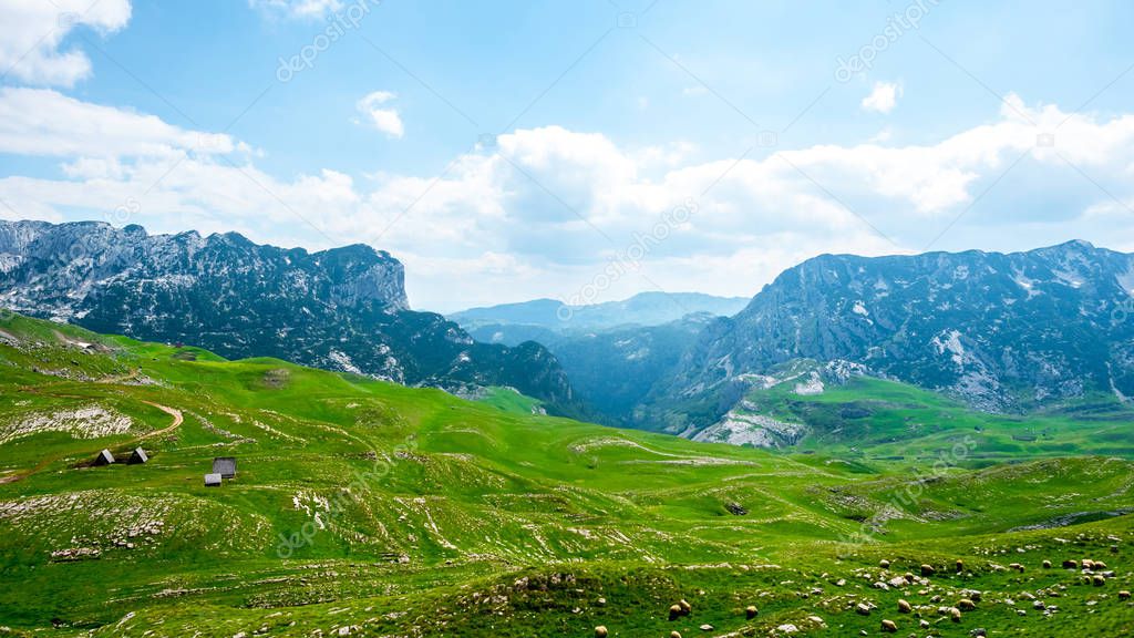 wooden houses on green valley, mountain range in Durmitor massif, Montenegro