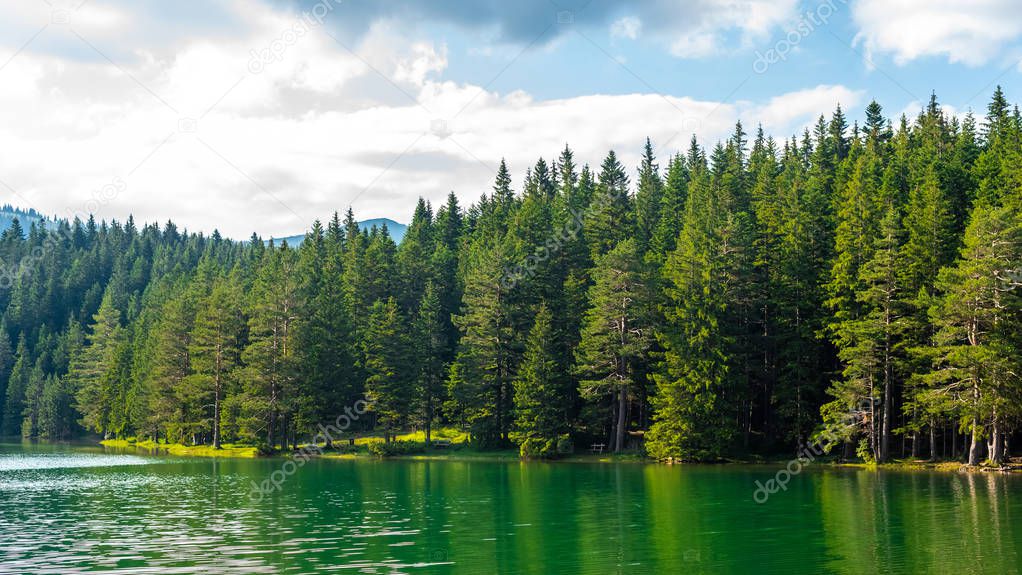 green forest and beautiful glacial Black Lake in Montenegro