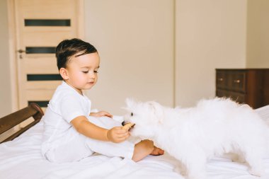 Köpek.