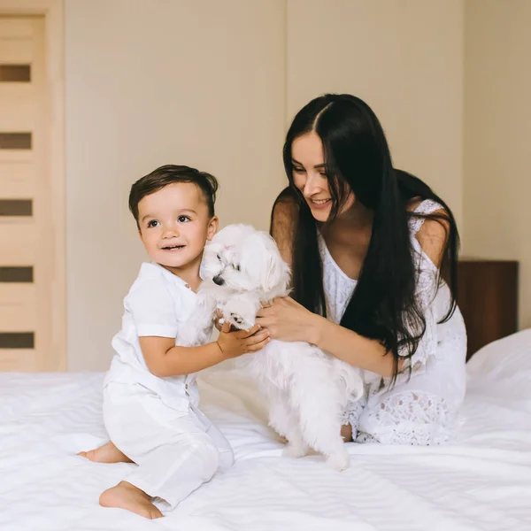 Smiling Young Mother Child Playing Bichon Dog While Sitting Bed — Stock Photo, Image