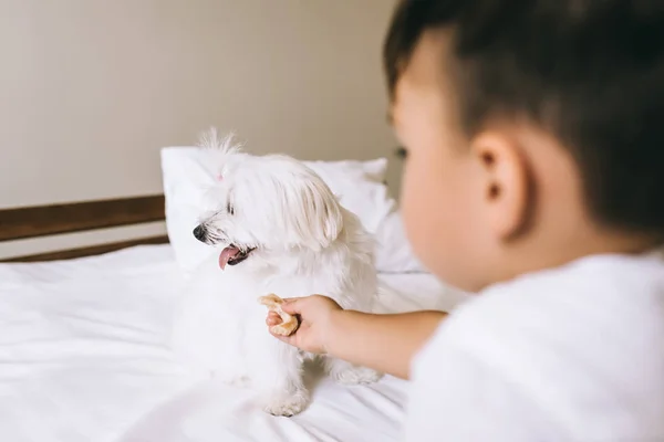 Feeding — Stock Photo, Image