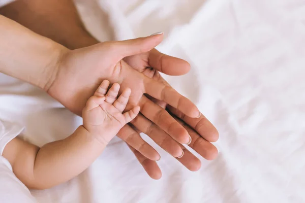 Hands — Stock Photo, Image