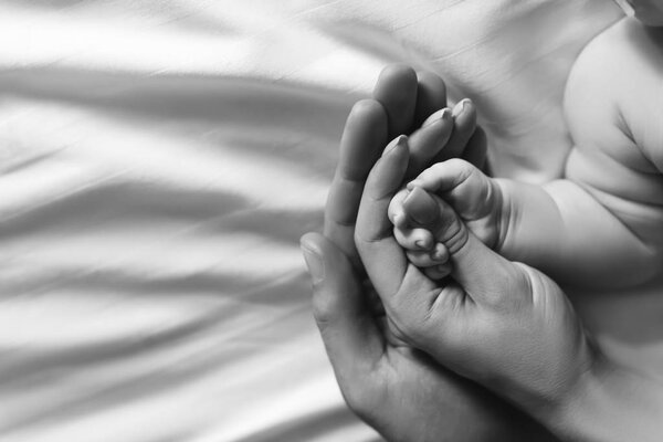 cropped image of family holding hands with infant son in bed, black and white