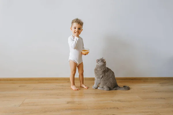 Petit garçon tout-petit en body blanc avec biscuits et chat gris à la maison — Photo de stock