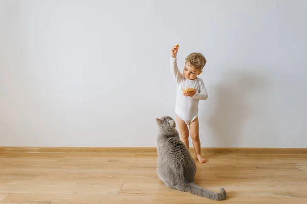 Niño pequeño en traje de cuerpo blanco con galletas y gato gris en casa - foto de stock