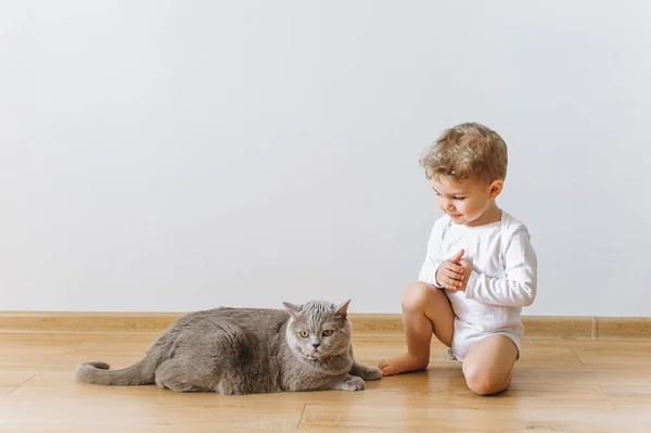 Lindo niño pequeño en blanco bodysuit y gris británico taquigrafía gato descansando en piso en casa - foto de stock