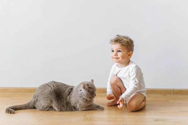 Niedliches kleines Kind im weißen Body und graue britische Kurzhaarkatze, die zu Hause auf dem Boden ruht — Stockfoto