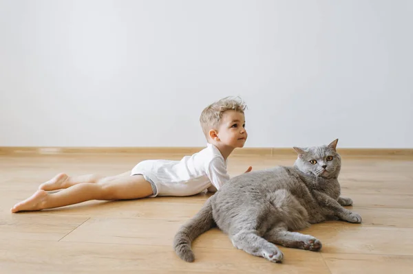 Симпатичний малюк хлопчик і сірий Британська короткошерста кішка лежить на підлозі разом в домашніх умовах — стокове фото