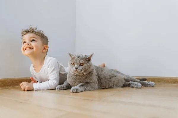 Fröhlicher Kleinkind Junge und graue Britische Kurzhaarkatze liegen zu Hause zusammen auf dem Boden — Stockfoto